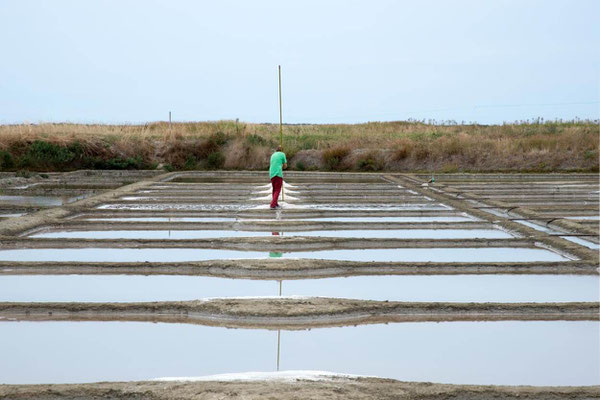 Salines de Guérande 04