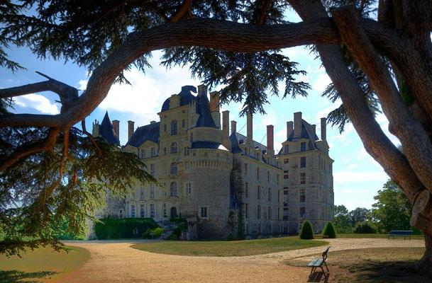 Château de Brissac 05