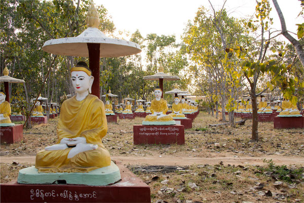 Monywa - Bodhi Tataung 18 - Jardin aux mille Bouddhas