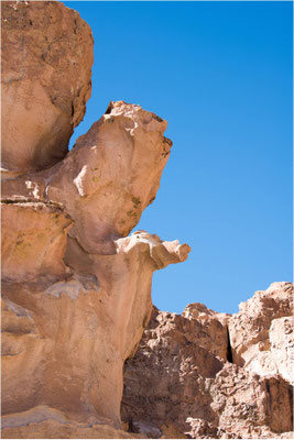 Canyon de las Rocas 15