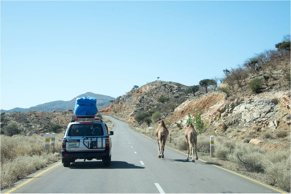 ETHIOPIE - Dépression du Danakil- Sur la route 07