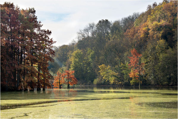 Paysages 59 - Ain