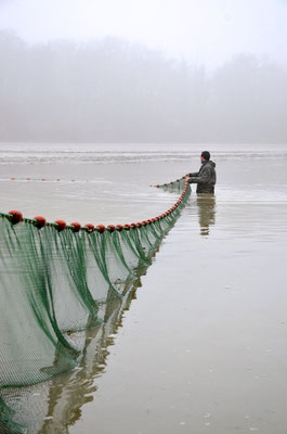 Pêche dans la Dombes 02