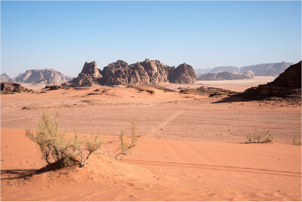 32 - Wadi Rum - Trail