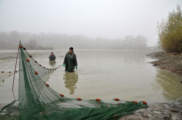 Pêche dans la Dombes 06