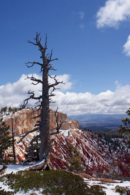 Paysages 19 - USA
