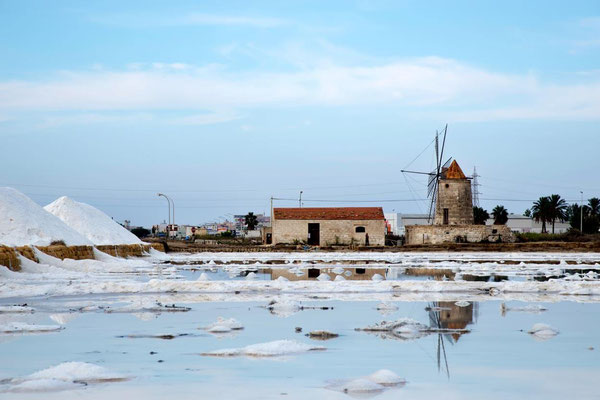 Route des salines 01