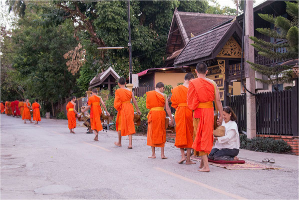 Luang Prabang - Rituel Bouddhique - 05