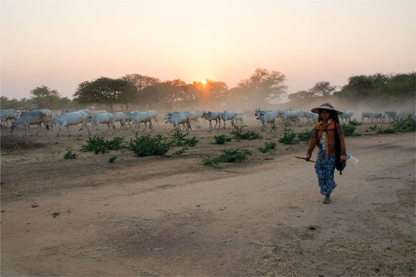 Bagan - Coucher de soleil bis 03