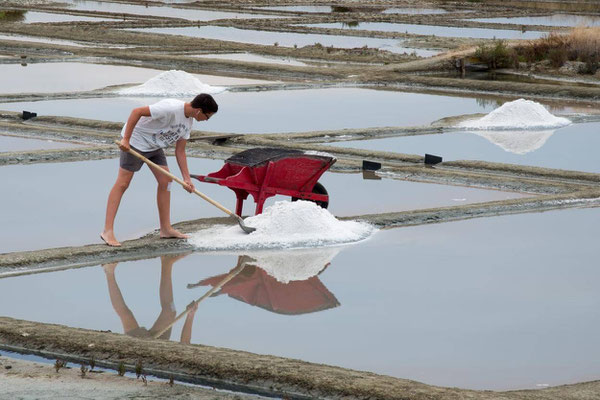 Salines de Guérande 07