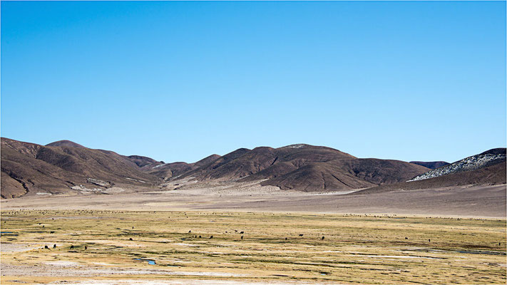 Uyuni 01 - Sur la route 