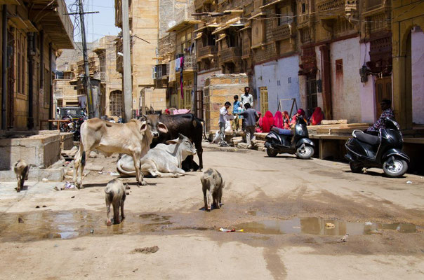 Jaisalmer 22