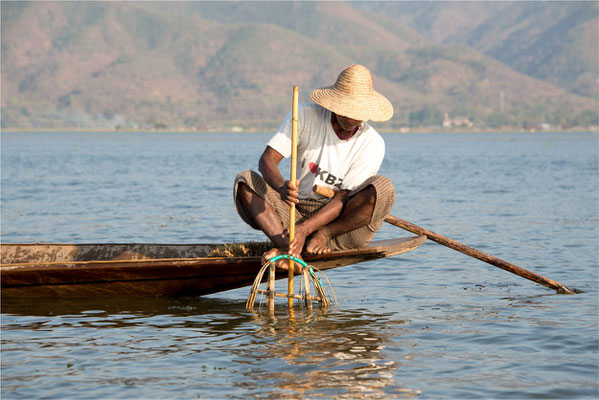 Lac Inlé - Pêche traditionnelle à la nasse 02