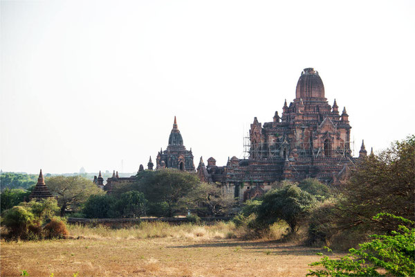 Bagan - Dhammayangyi 06