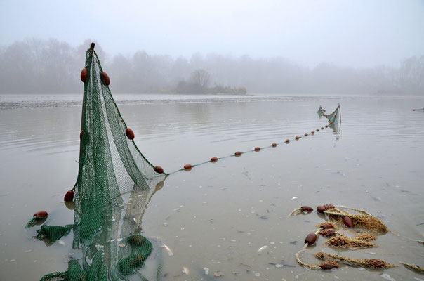 Pêche dans la Dombes 09