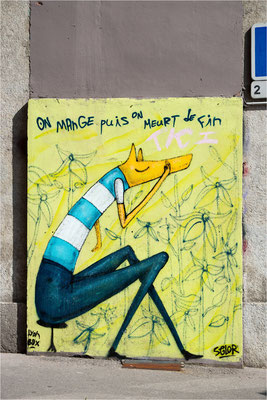 Street Art Lyon 41 - Selor