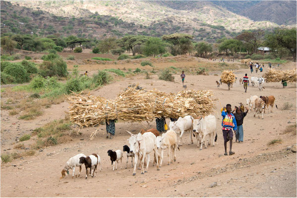 ETHIOPIE - Vallée de l'Omo - Village Dorzé - Sur la route 02