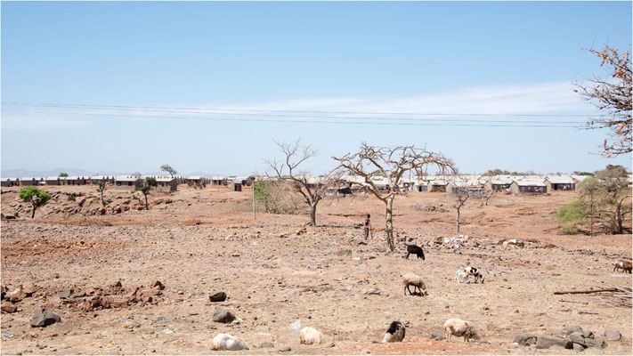 ETHIOPIE - Parc du Siemen - Sur la route 01 - Camp de réfugiés Erythréens