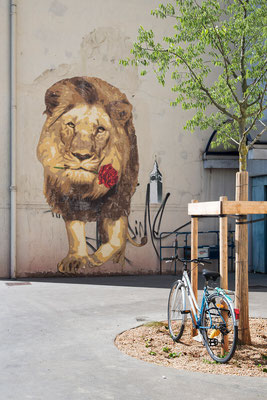 Street Art Lyon 24