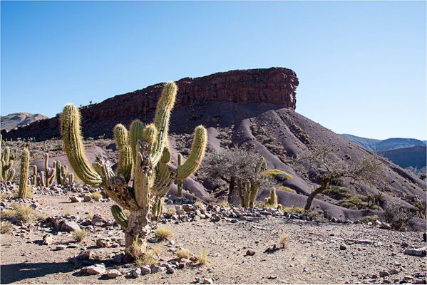 Uyuni 04 - Sur la route 
