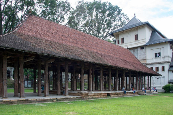 Temple de la dent 15