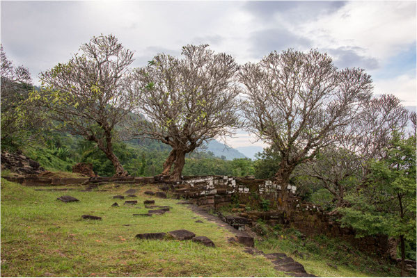 Vat Phou 15