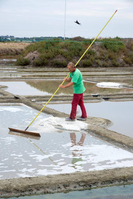 Salines de Guérande 05