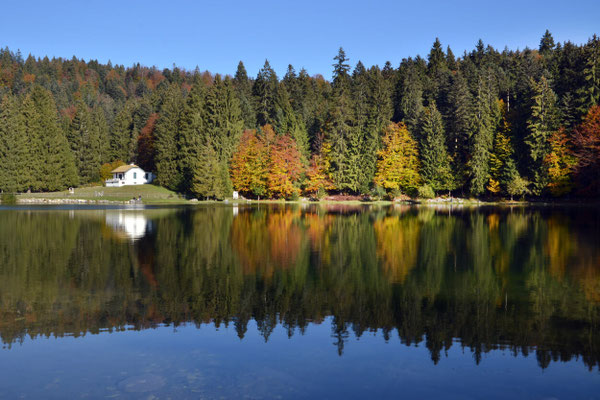 Paysages 47 - Ain