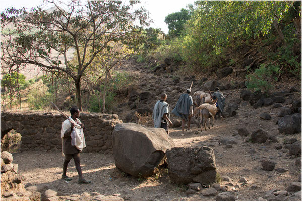 ETHIOPIE - Chutes du Nil Bleu 05