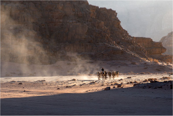 29 - Wadi Rum 