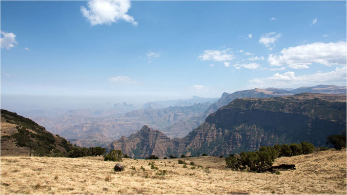 ETHIOPIE - Parc National du Siemen 06