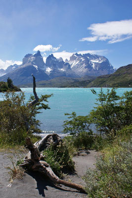 Torres del Paine 11