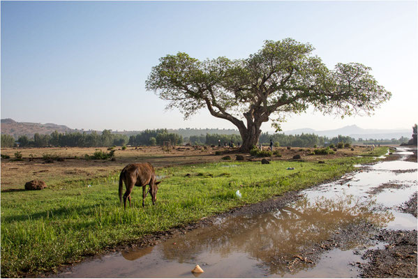 Paysages 102 - Ethiopie