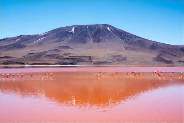 Paysages 97 - Bolivie