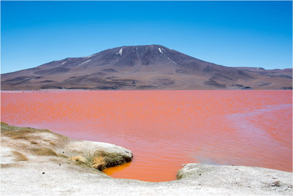 Laguna colorada 16