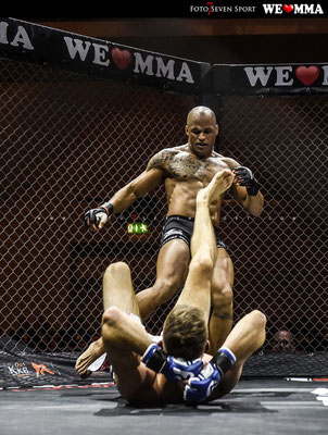 We Love Mma Dresden We Love Mma Dresden