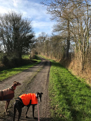 Chemin de randonnée à proximité de la maison