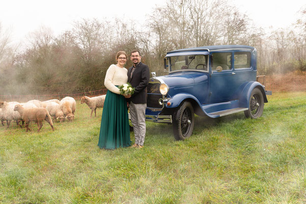 Braut & Bräutigam auf der Weide mit Schafen