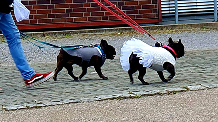 Und eine Hochzeit gab es auch noch.