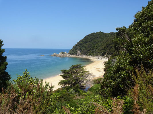Abel Tasman