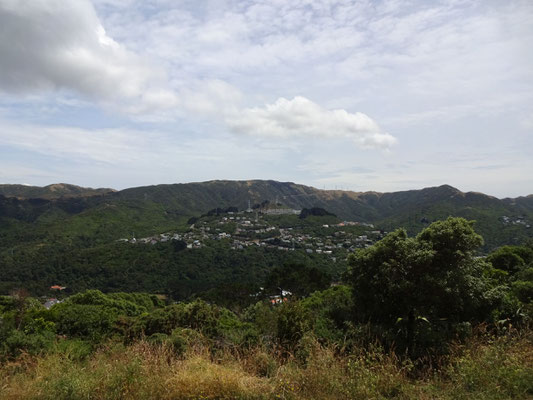 Wellington