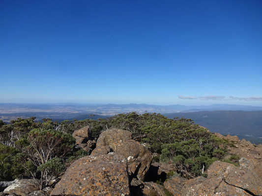 Mt Field National Park