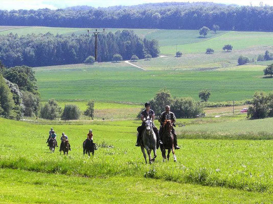 Jens Hammer Wanderreiten Westerwald, Lahn, Taunus