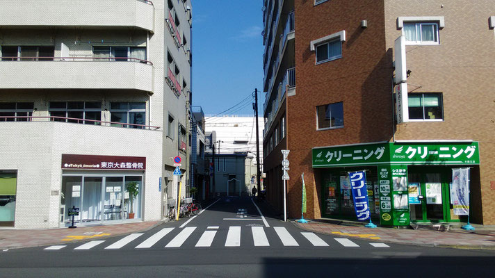 クリーニング屋さんの向かい側です。奥の建物はイトーヨーカドー大森店です。