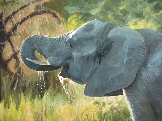 Elephant. Acrylique