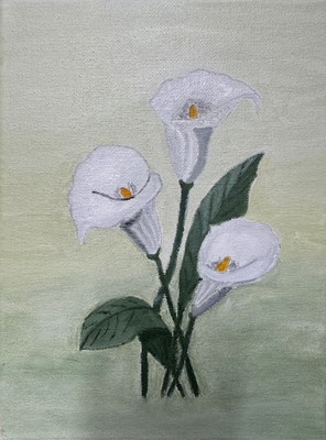 Aronskelkjes - Wilma Vroegop