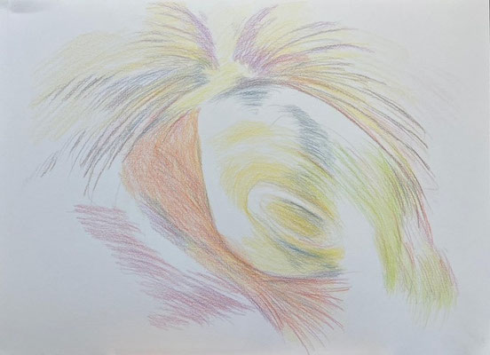 Verzoenen - Marian van der Valk