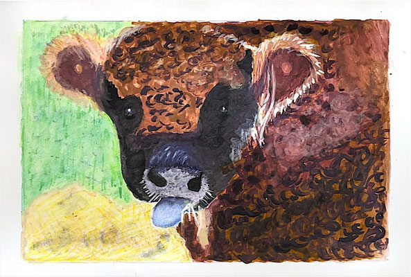 Galloway (aquarel) -  Corrie Rice-Langeslag