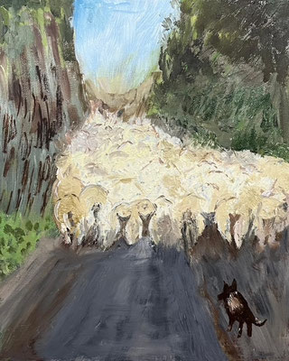 Schaapjes op het droge - Jan Verhaar