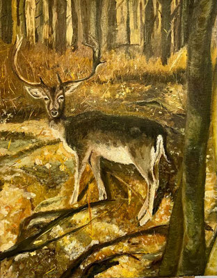 Hert in waterleidingduinen - Marijke van Aalst